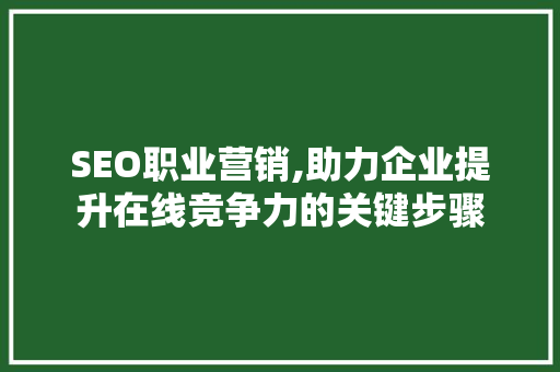 SEO职业营销,助力企业提升在线竞争力的关键步骤