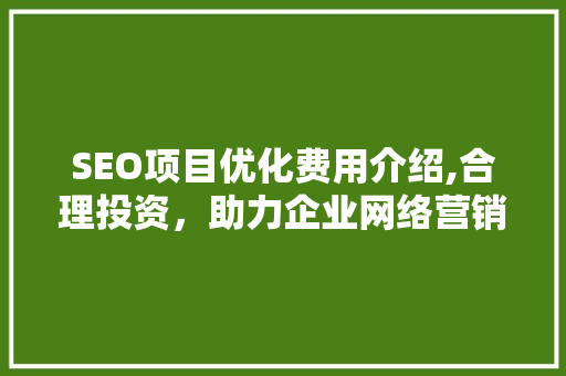 SEO项目优化费用介绍,合理投资，助力企业网络营销腾飞