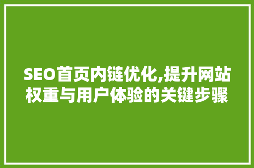 SEO首页内链优化,提升网站权重与用户体验的关键步骤