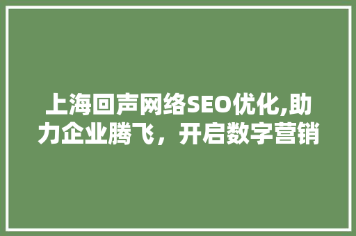 上海回声网络SEO优化,助力企业腾飞，开启数字营销新篇章