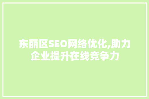 东丽区SEO网络优化,助力企业提升在线竞争力