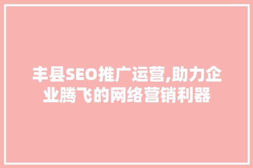丰县SEO推广运营,助力企业腾飞的网络营销利器