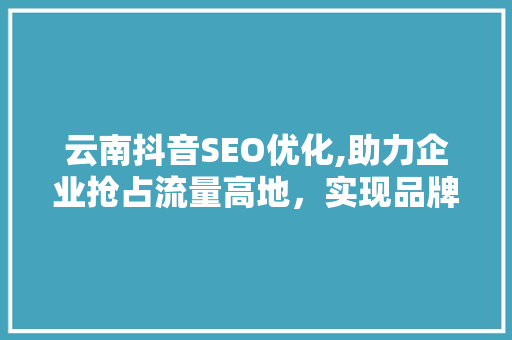 云南抖音SEO优化,助力企业抢占流量高地，实现品牌价值最大化