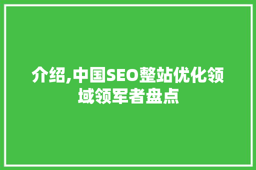 介绍,中国SEO整站优化领域领军者盘点