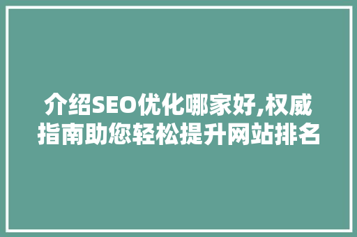 介绍SEO优化哪家好,权威指南助您轻松提升网站排名