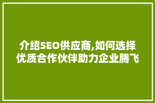 介绍SEO供应商,如何选择优质合作伙伴助力企业腾飞