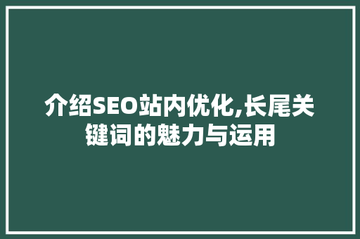 介绍SEO站内优化,长尾关键词的魅力与运用
