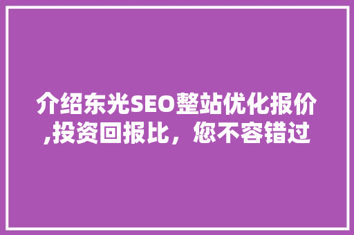 介绍东光SEO整站优化报价,投资回报比，您不容错过的优化之路