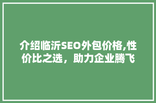 介绍临沂SEO外包价格,性价比之选，助力企业腾飞