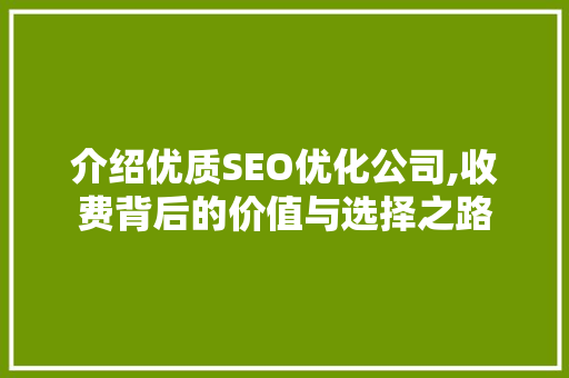 介绍优质SEO优化公司,收费背后的价值与选择之路