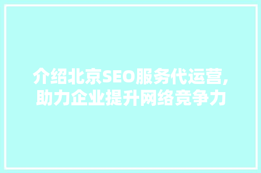 介绍北京SEO服务代运营,助力企业提升网络竞争力