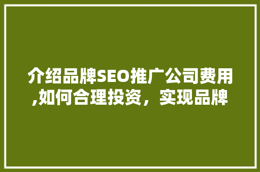 介绍品牌SEO推广公司费用,如何合理投资，实现品牌价值最大化