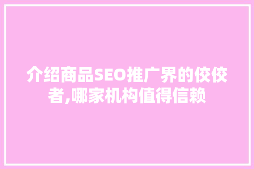 介绍商品SEO推广界的佼佼者,哪家机构值得信赖