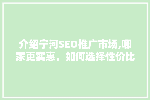 介绍宁河SEO推广市场,哪家更实惠，如何选择性价比高的服务