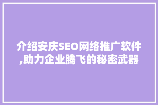 介绍安庆SEO网络推广软件,助力企业腾飞的秘密武器