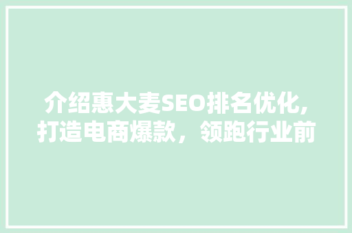 介绍惠大麦SEO排名优化,打造电商爆款，领跑行业前沿