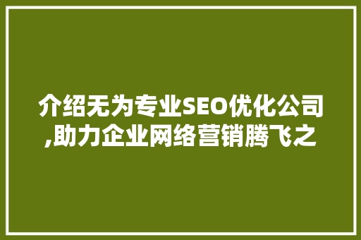 介绍无为专业SEO优化公司,助力企业网络营销腾飞之路
