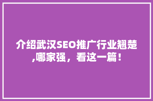 介绍武汉SEO推广行业翘楚,哪家强，看这一篇！