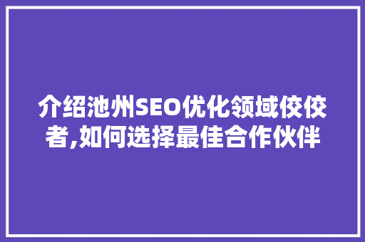 介绍池州SEO优化领域佼佼者,如何选择最佳合作伙伴