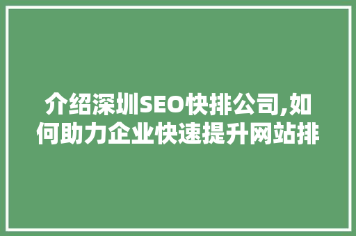 介绍深圳SEO快排公司,如何助力企业快速提升网站排名