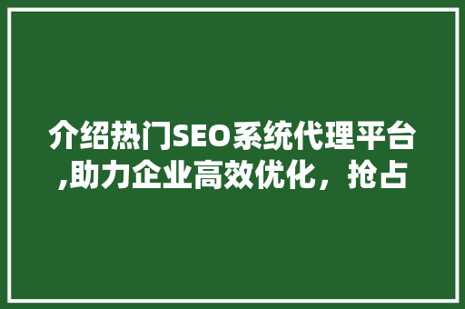 介绍热门SEO系统代理平台,助力企业高效优化，抢占网络营销高地