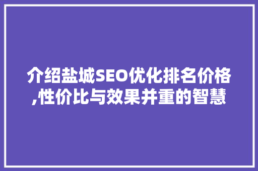介绍盐城SEO优化排名价格,性价比与效果并重的智慧选择