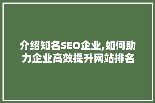 介绍知名SEO企业,如何助力企业高效提升网站排名