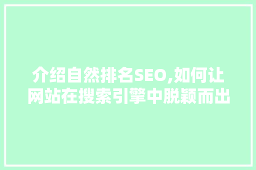 介绍自然排名SEO,如何让网站在搜索引擎中脱颖而出