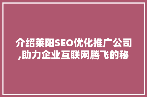 介绍莱阳SEO优化推广公司,助力企业互联网腾飞的秘密武器