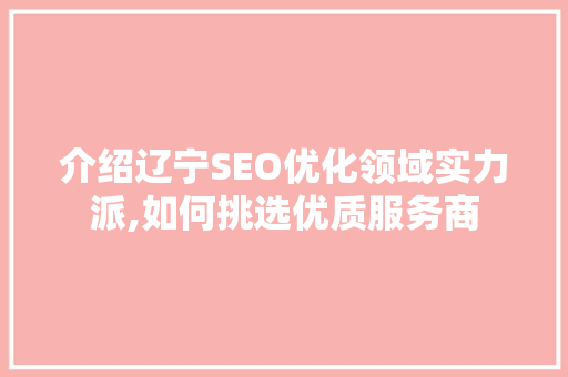 介绍辽宁SEO优化领域实力派,如何挑选优质服务商
