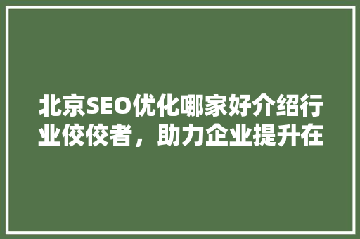 北京SEO优化哪家好介绍行业佼佼者，助力企业提升在线影响力
