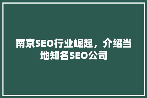 南京SEO行业崛起，介绍当地知名SEO公司