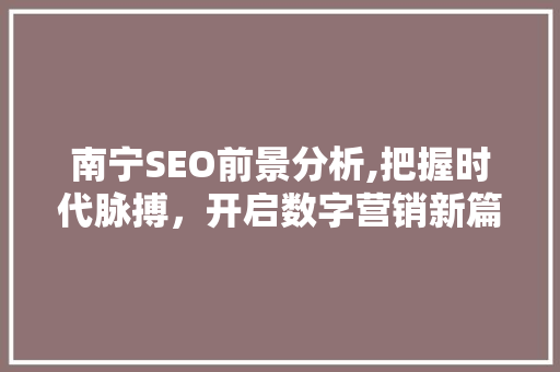南宁SEO前景分析,把握时代脉搏，开启数字营销新篇章
