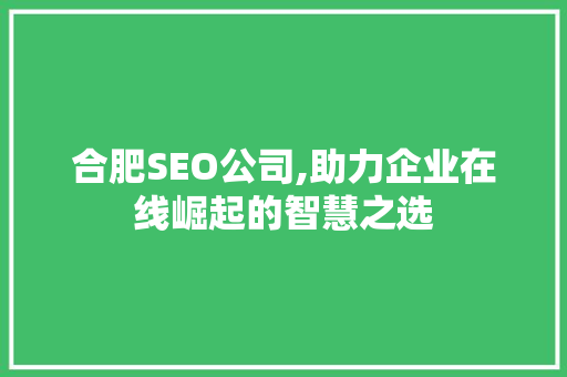 合肥SEO公司,助力企业在线崛起的智慧之选
