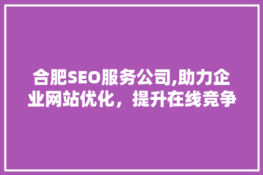 合肥SEO服务公司,助力企业网站优化，提升在线竞争力