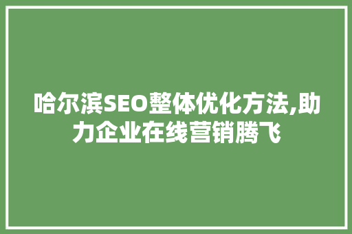 哈尔滨SEO整体优化方法,助力企业在线营销腾飞