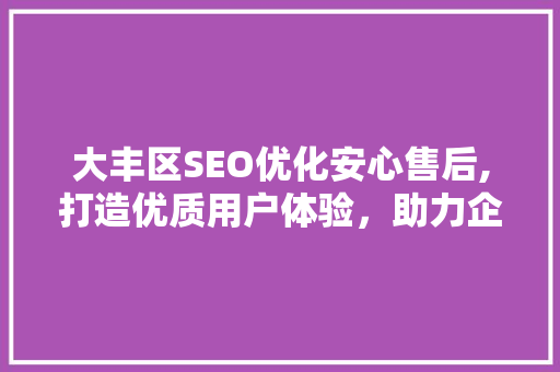 大丰区SEO优化安心售后,打造优质用户体验，助力企业腾飞