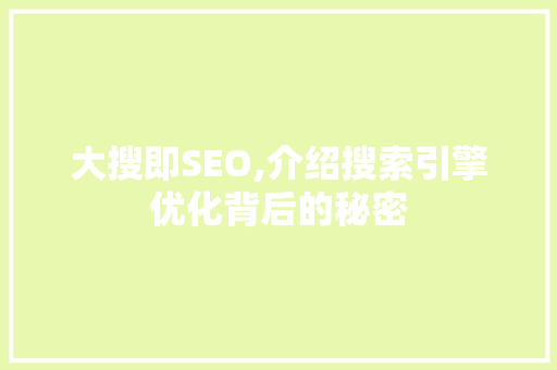 大搜即SEO,介绍搜索引擎优化背后的秘密