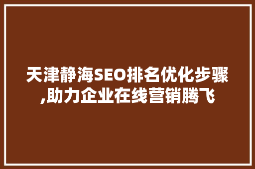 天津静海SEO排名优化步骤,助力企业在线营销腾飞
