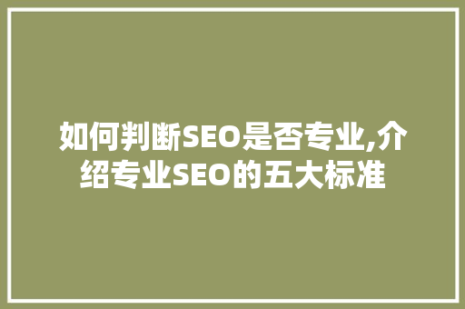 如何判断SEO是否专业,介绍专业SEO的五大标准