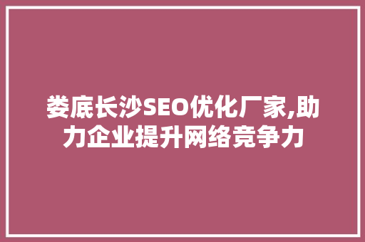 娄底长沙SEO优化厂家,助力企业提升网络竞争力