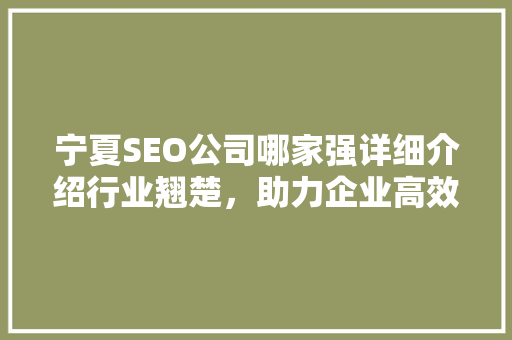 宁夏SEO公司哪家强详细介绍行业翘楚，助力企业高效营销