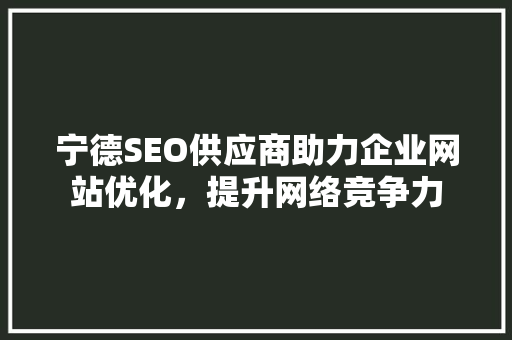 宁德SEO供应商助力企业网站优化，提升网络竞争力
