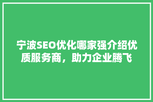 宁波SEO优化哪家强介绍优质服务商，助力企业腾飞