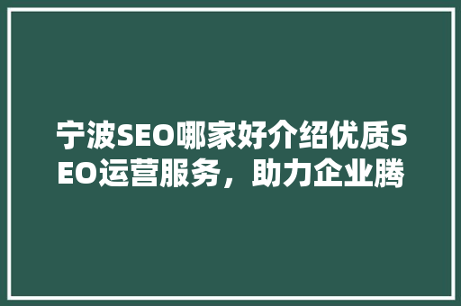 宁波SEO哪家好介绍优质SEO运营服务，助力企业腾飞