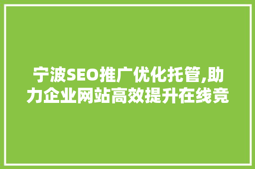 宁波SEO推广优化托管,助力企业网站高效提升在线竞争力