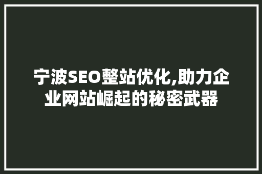 宁波SEO整站优化,助力企业网站崛起的秘密武器