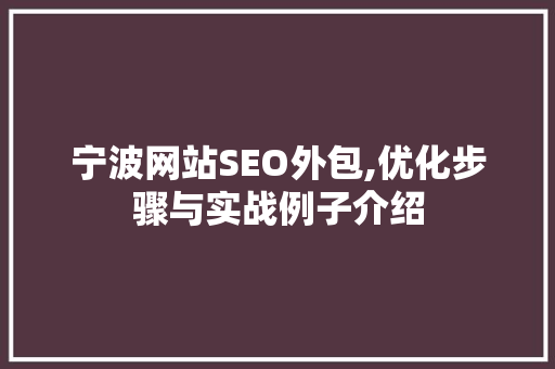 宁波网站SEO外包,优化步骤与实战例子介绍