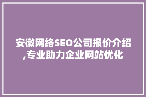 安徽网络SEO公司报价介绍,专业助力企业网站优化
