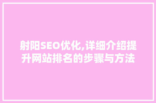 射阳SEO优化,详细介绍提升网站排名的步骤与方法